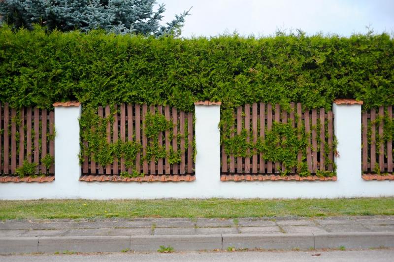 Taille de haies et arbustes : les meilleures techniques pour Etzling