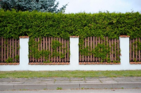 Taille de haies et arbustes : les meilleures techniques pour Etzling